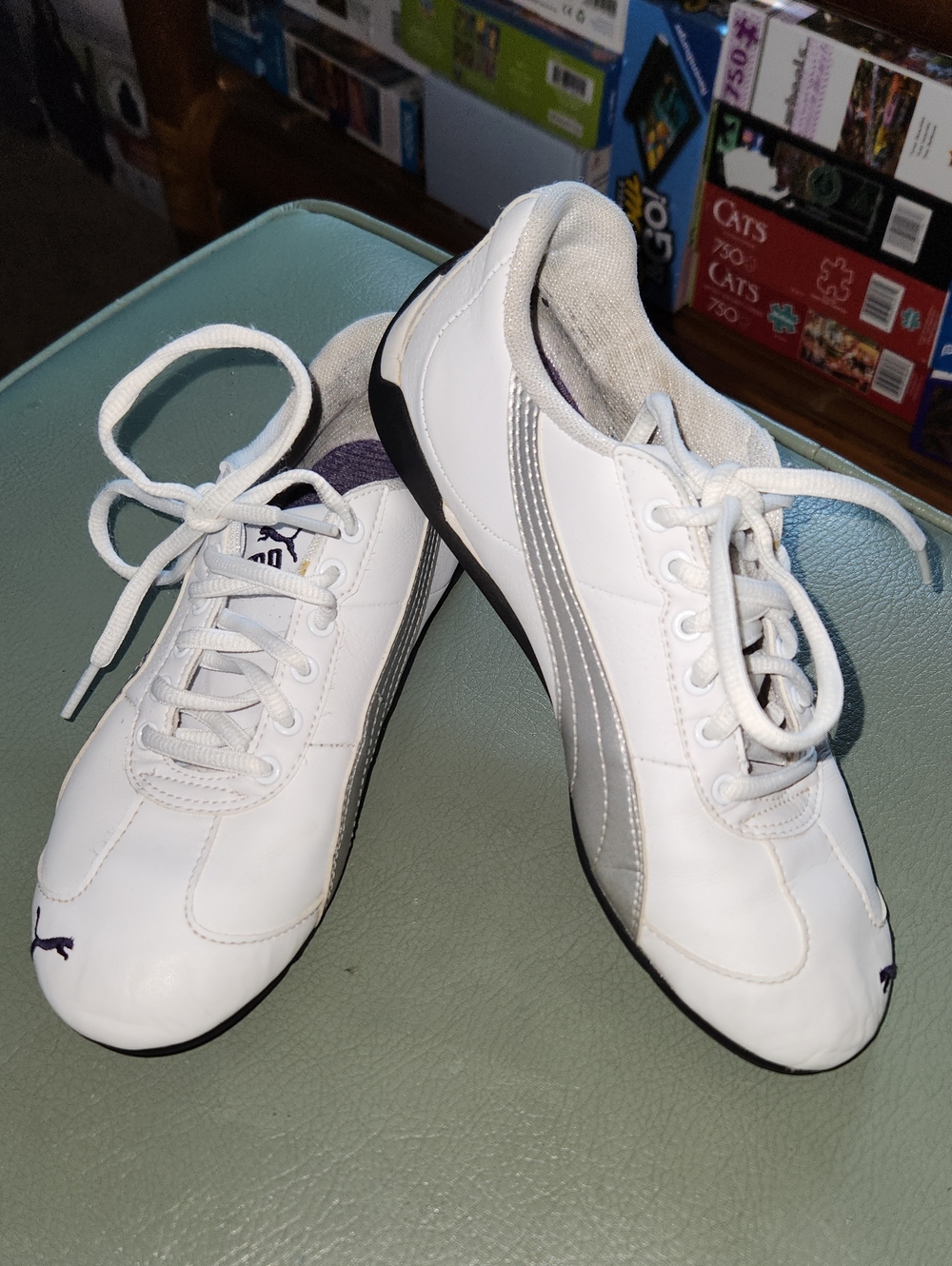 Puma Leather Low Profile Shoes